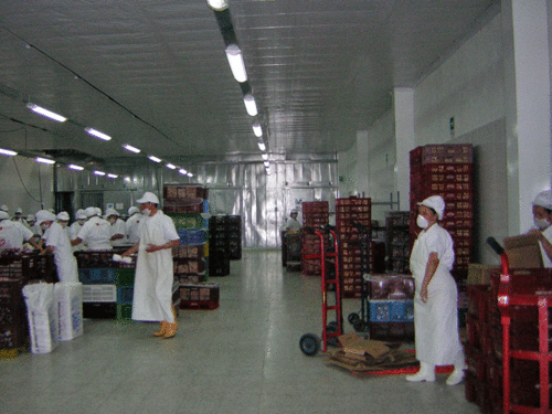 工場や倉庫への施工例